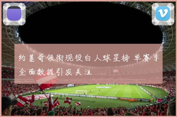 约基奇领衔现役白人球星榜 单赛季全面数据引发关注