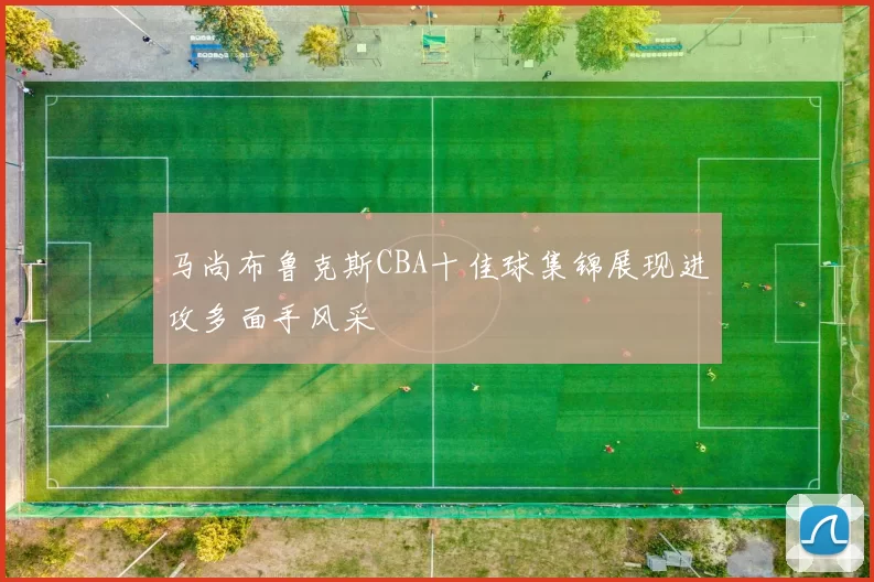 马尚布鲁克斯CBA十佳球集锦展现进攻多面手风采