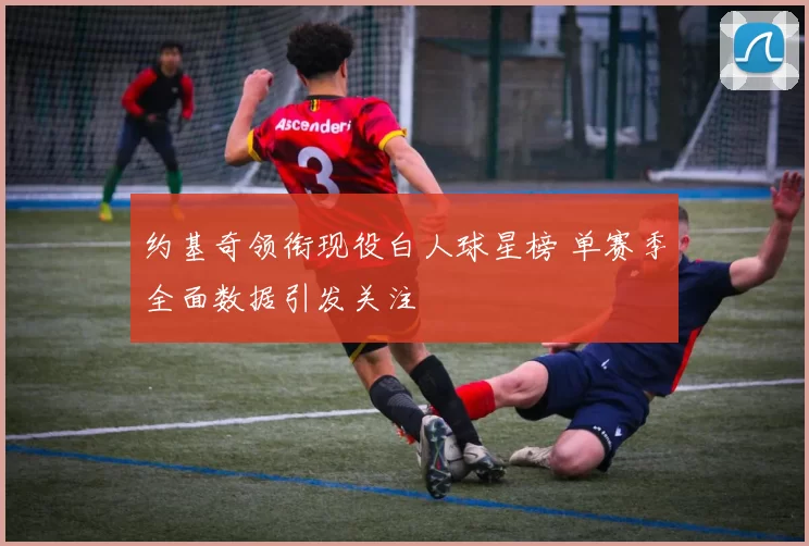 约基奇领衔现役白人球星榜 单赛季全面数据引发关注