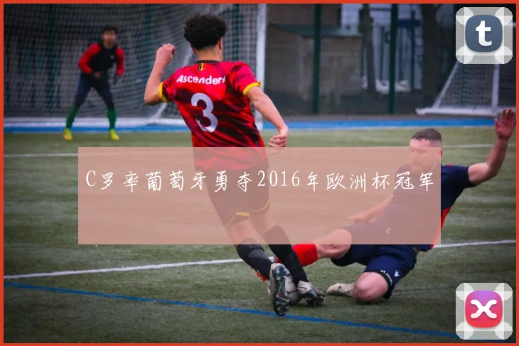 C罗率葡萄牙勇夺2016年欧洲杯冠军