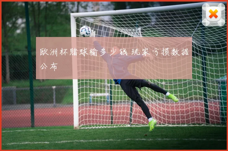 欧洲杯赌球输多少钱 玩家亏损数据公布