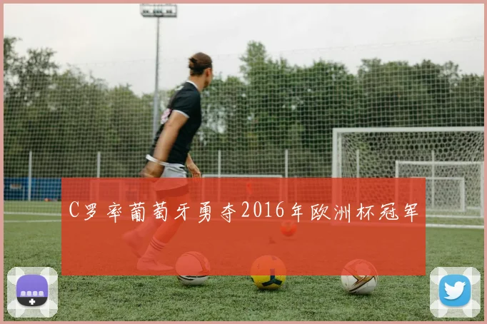 C罗率葡萄牙勇夺2016年欧洲杯冠军