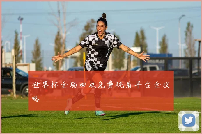 世界杯全场回放免费观看平台全攻略